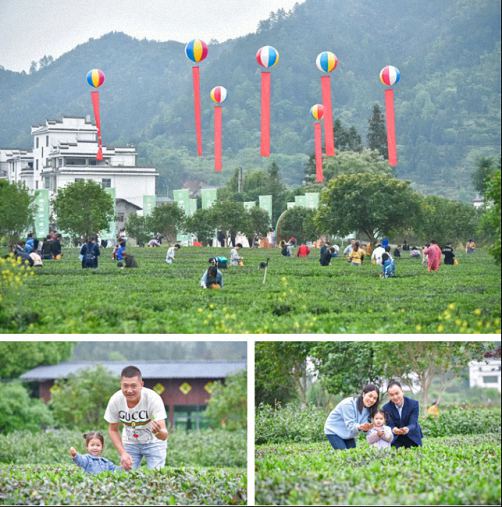 赣州教学点江财EMBA同学联谊会走进上犹第四届茶香旅游季1106.jpg