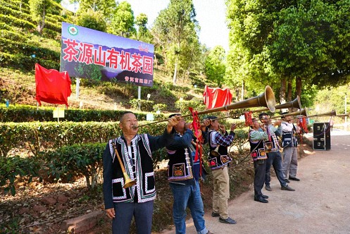 【企业走访】——云南新商界25班白祖良同学企业——普洱宫廷茶厂茶源山春茶开采活动148.jpg